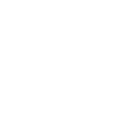 Projects Executed Icon