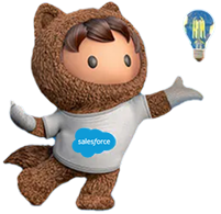 Service Cloud